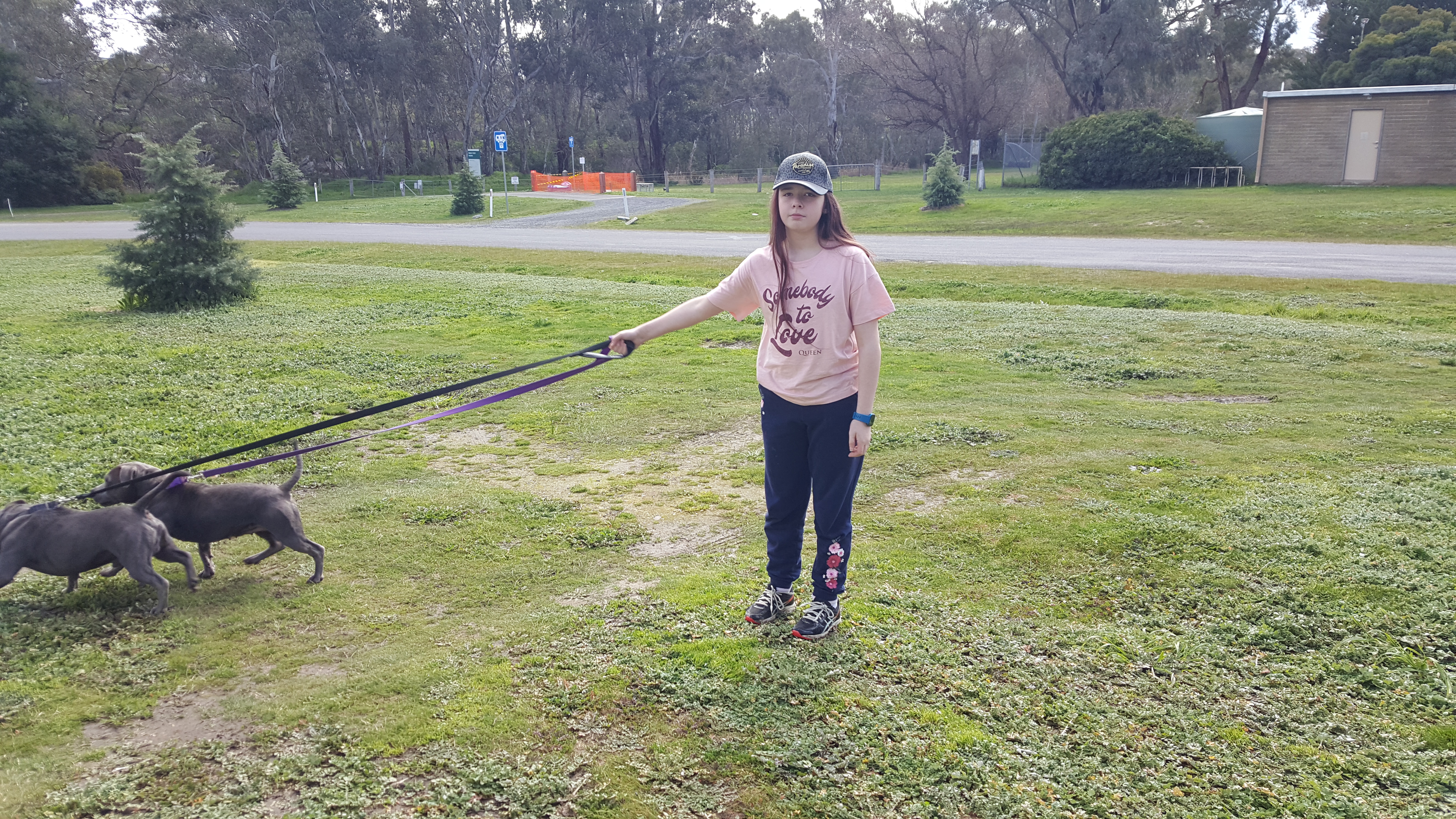 /uploaded_files/media/gallery/1599433780Emma and dogs.jpg